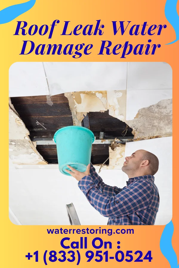 Roof Leak Water Damage Repair in Rocky Mound, TX